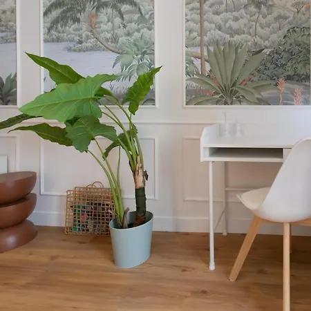 #34 Lamartine 3 Bdrs Ac Balcony 10mins Walk To Old Town דירה